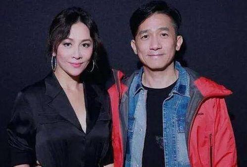 丁克明星夫妻有哪些,幸福生活背后的选择与坚持